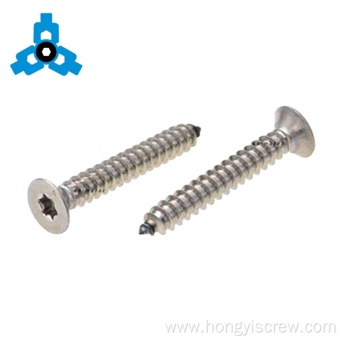 Torx head self tapping countersunk screws